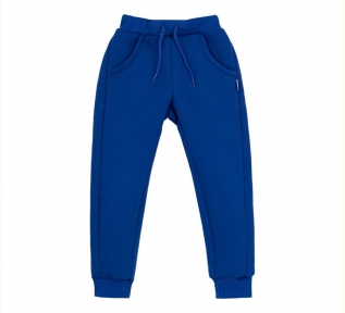Детские спортивные штаны ШР 554 Бемби синий