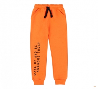 Дитячі спортивні штани ШР 806 Бембі помаранчоний-друк