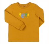 Детская футболка для мальчика ФБ 955 Бемби охра