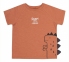 Детская летняя футболка для мальчика ФБ 800 Бемби теракот