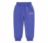Детские спортивные штаны для девочки ШР 578 Бемби трикотаж двунитка + уткорса л/к фиолетовый